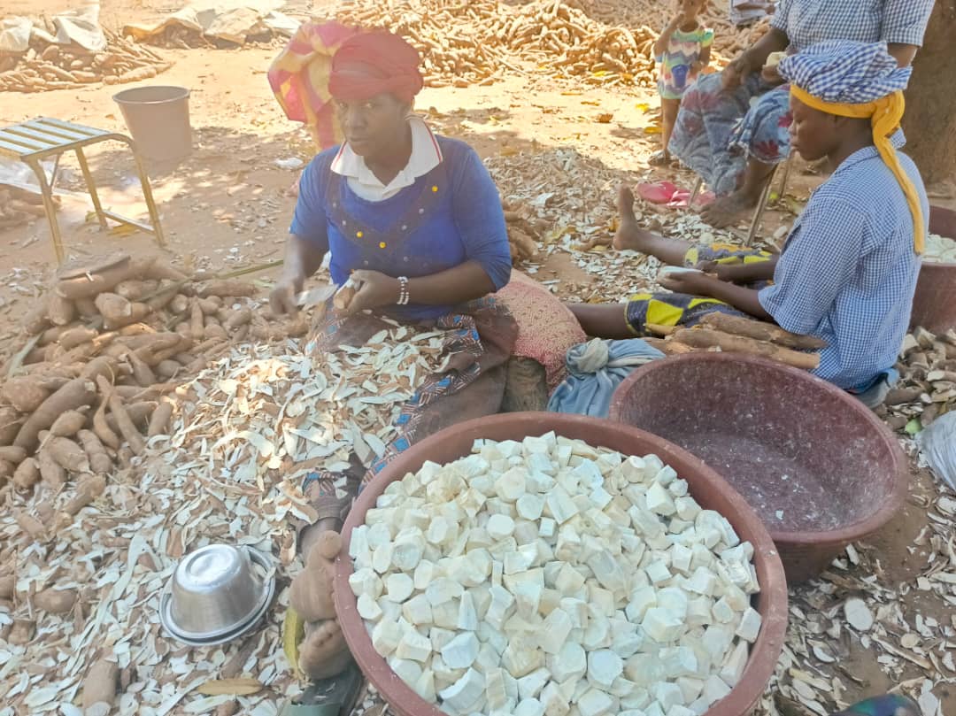 Orodara, le difficile accès des femmes à la terre