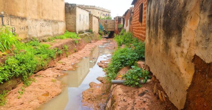 Marigot Houet, un patrimoine en danger à Bobo Dioulasso
