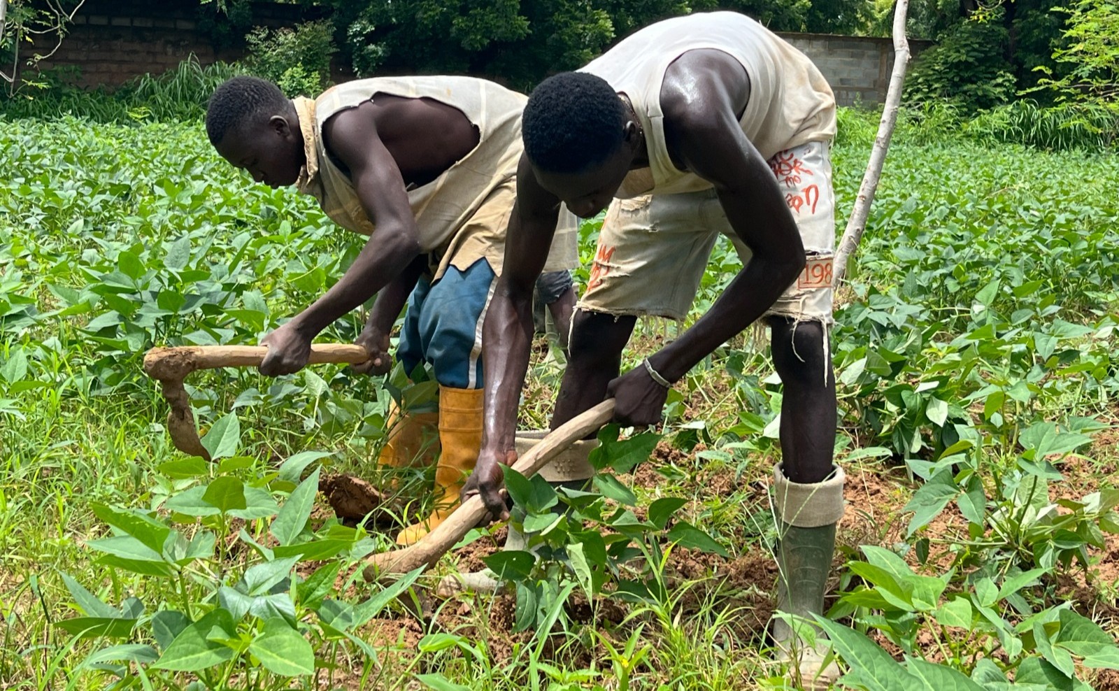 À Goundi, un centre qui transforme des vies et fait naître des entrepreneurs