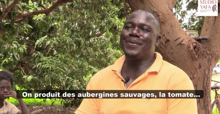 Sylvestre, 30 ans de maraîchage et une tradition gourounsi à transmettre