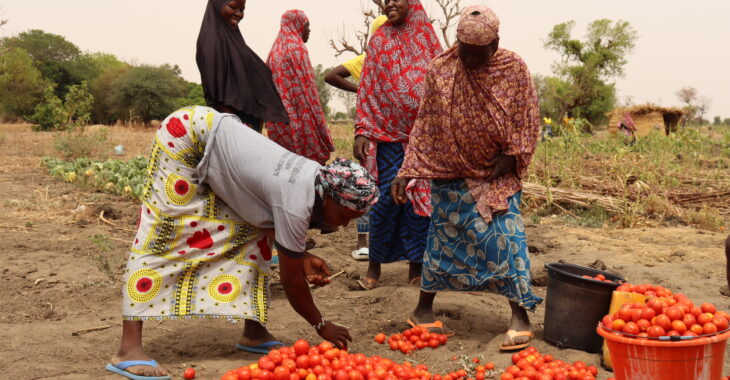 Miser sur le travail pour rendre l’espoir aux déplacés internes