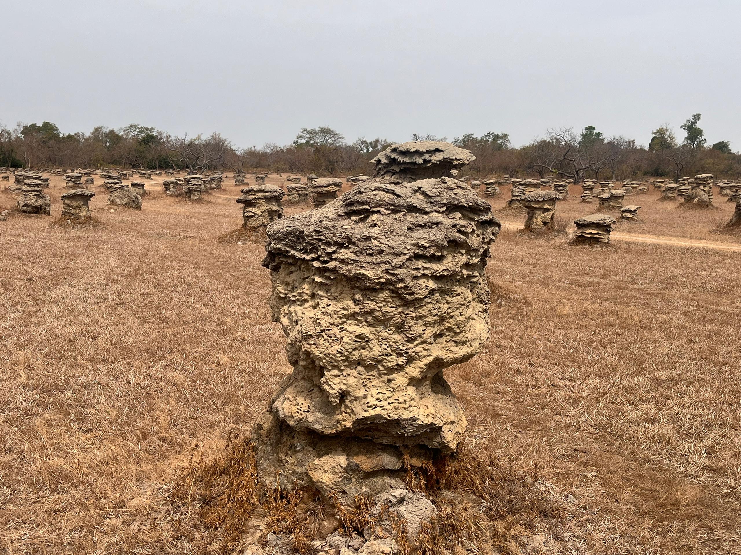 Les termitières sacrées qui protègent le village de Timperba