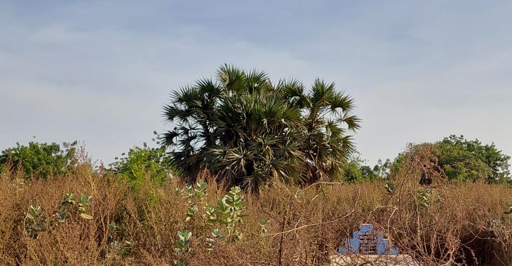 Au cimetière de Dagnoën, la trace perdue de Thomas Sankara