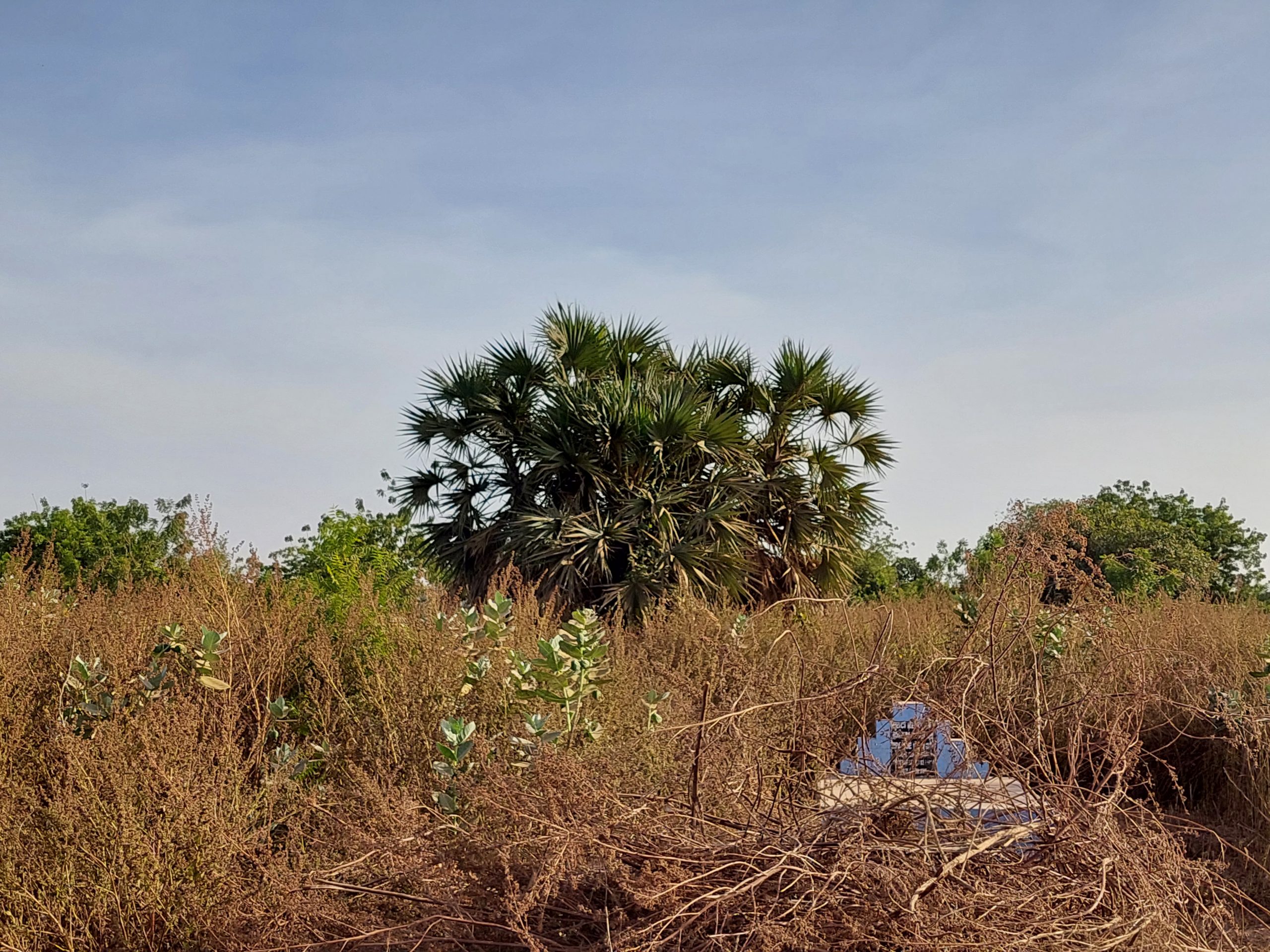 Au cimetière de Dagnoën, la trace perdue de Thomas Sankara