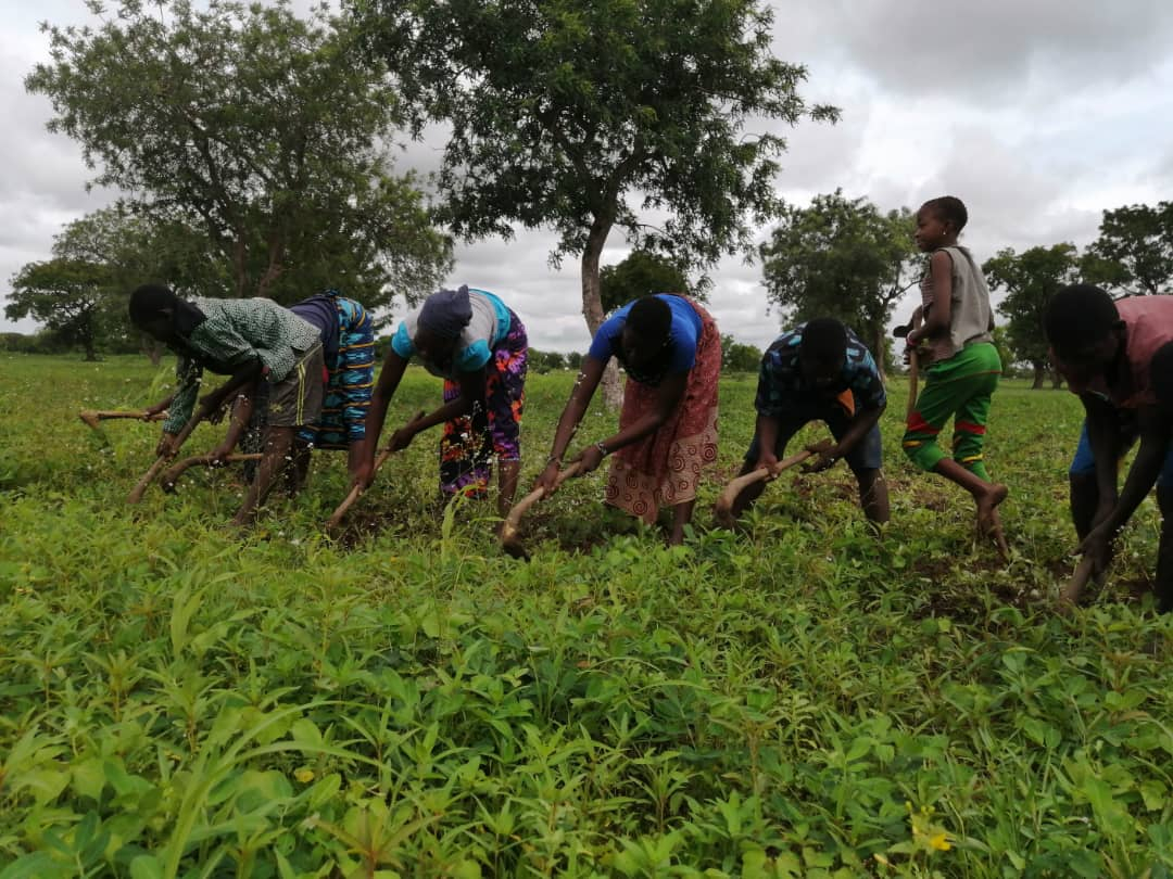 Dédougou : des femmes cultivatrices racontent leur pénible quotidien