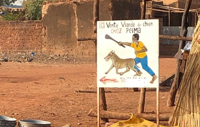 Réo : la viande de chien prisée par des jeunes