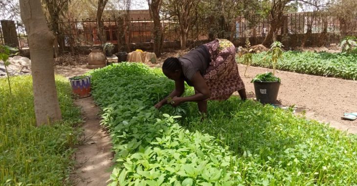 A Ouagadougou, un espace vert pour protéger l’environnement