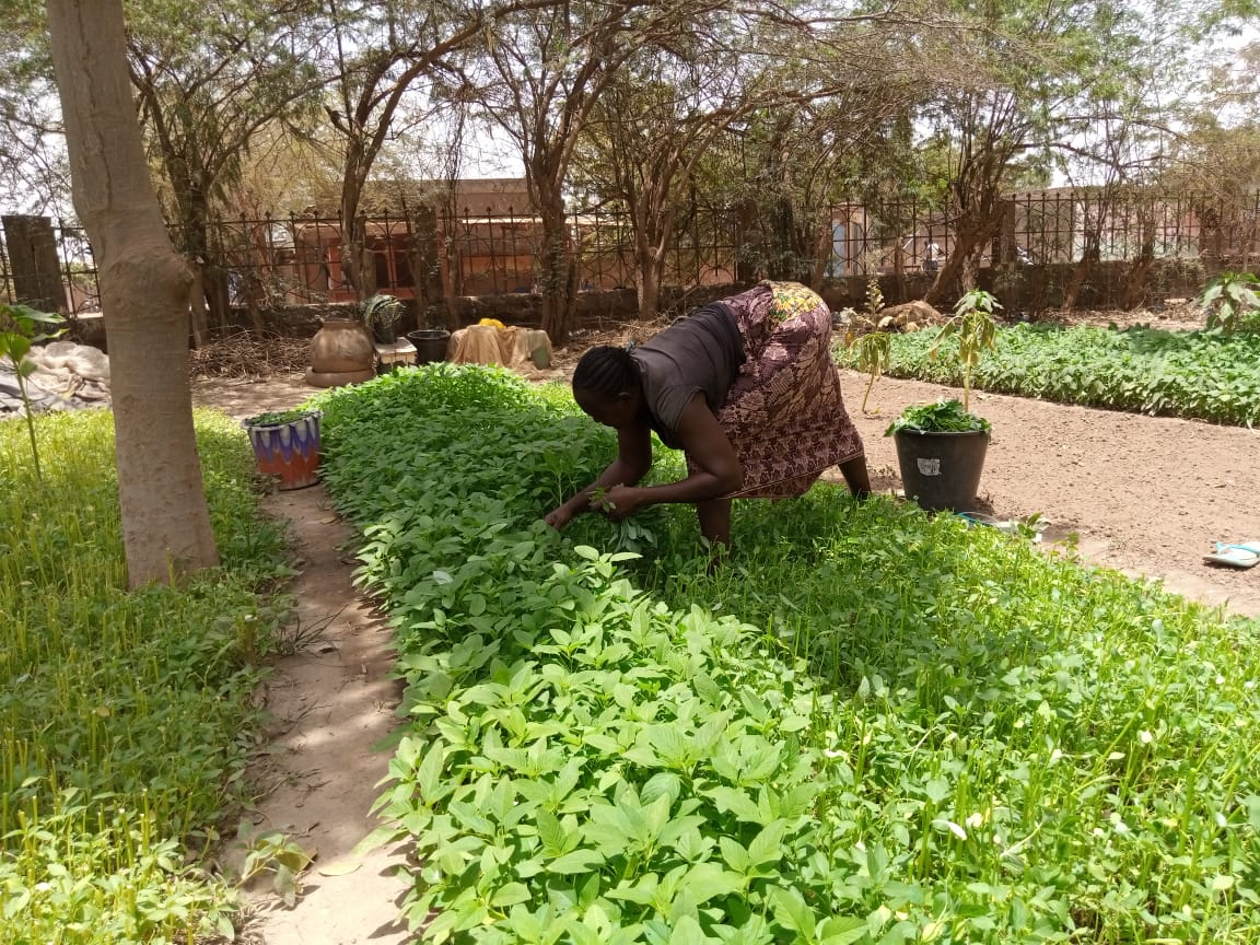 A Ouagadougou, un espace vert pour protéger l’environnement