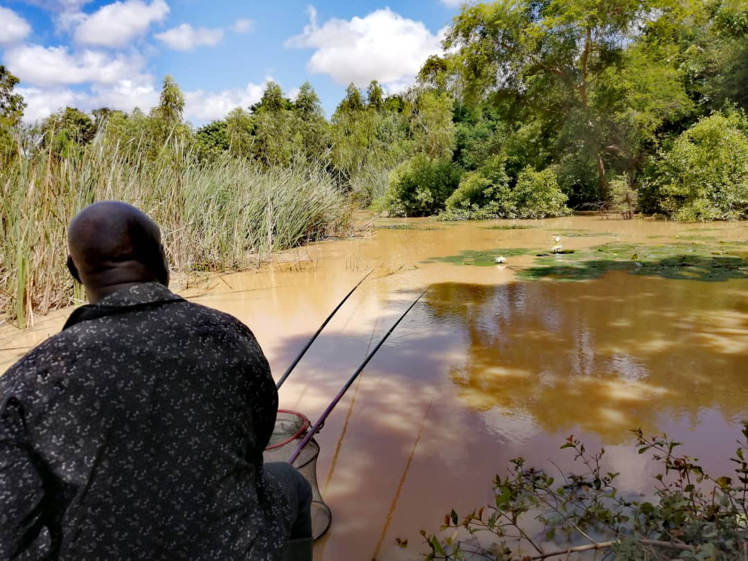 Ouagadougou :  des jeunes pêchent de la patience et du poisson