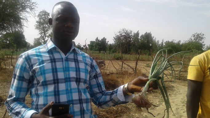 Saidou Ouédraogo, l’agrobusinessman exemplaire