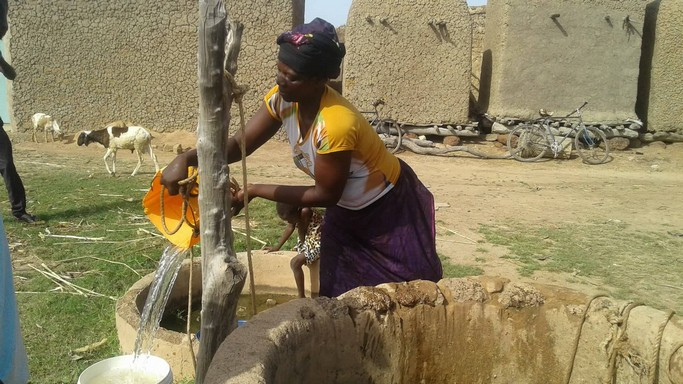 Village de DA : les maladies liées à l’eau en baisse grâce au moringa
