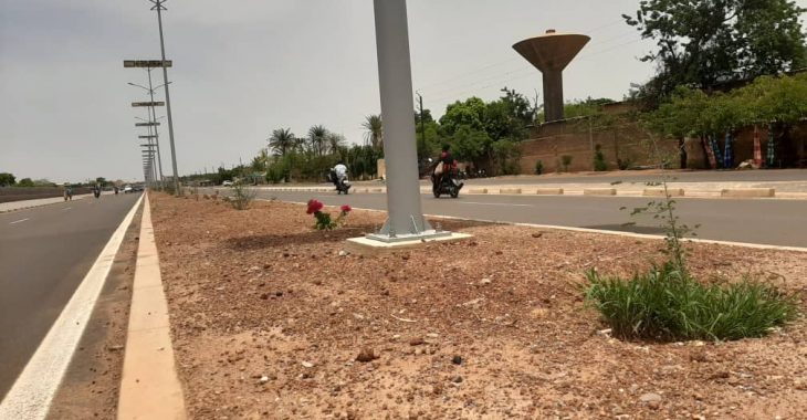 Déboisement des avenues à Ouaga : du goudron à la place des arbres