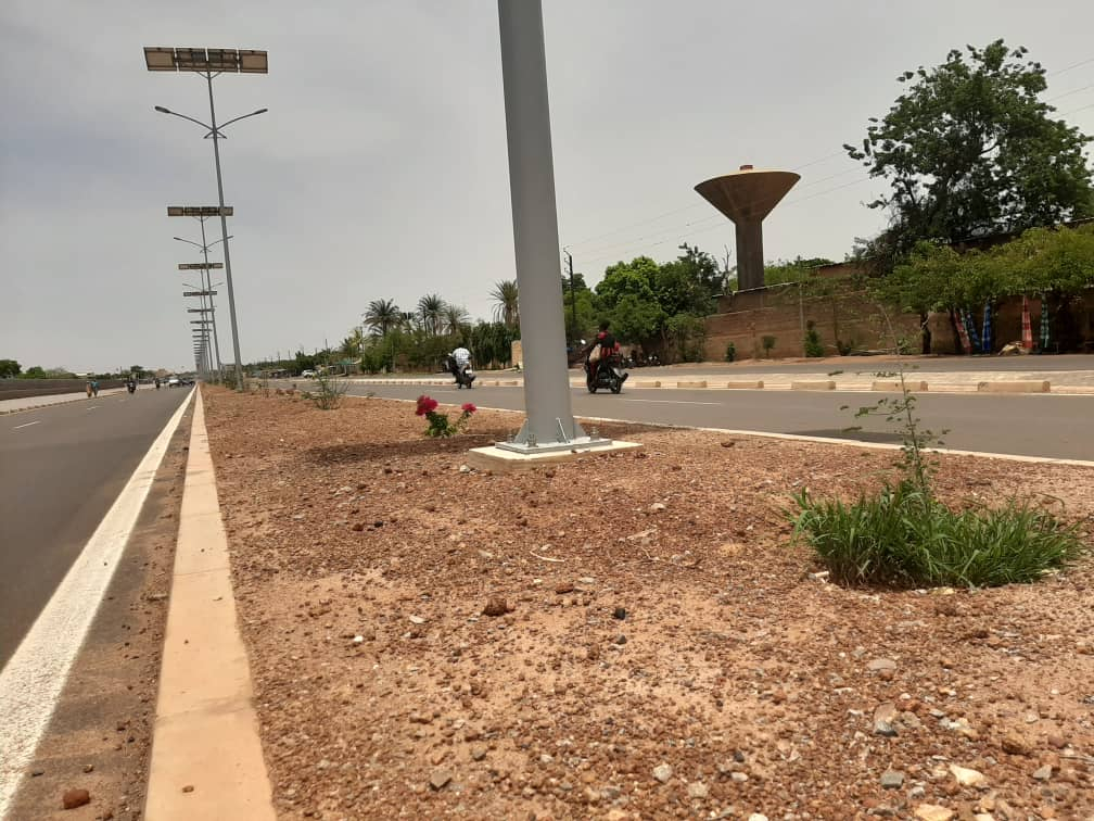 Déboisement des avenues à Ouaga : du goudron à la place des arbres