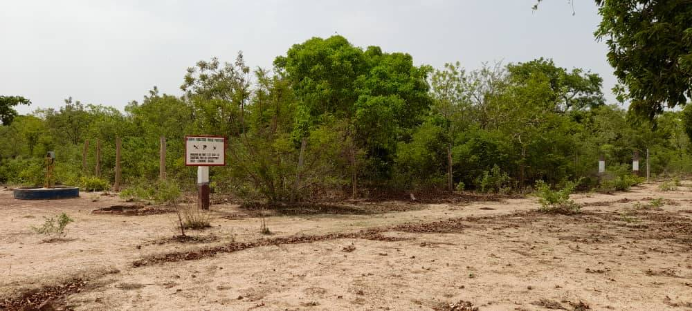 A sagala, une forêt comme salle de classe