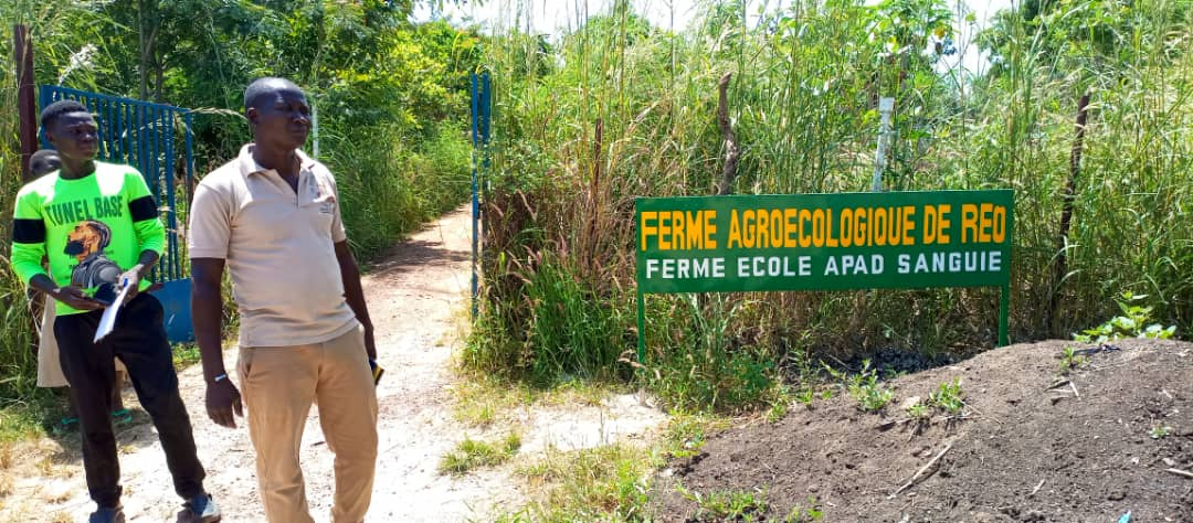 Réo : l’agro-écologie en expérimentation