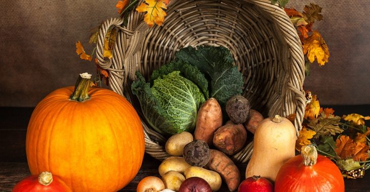 « La conservation des légumes est difficile »