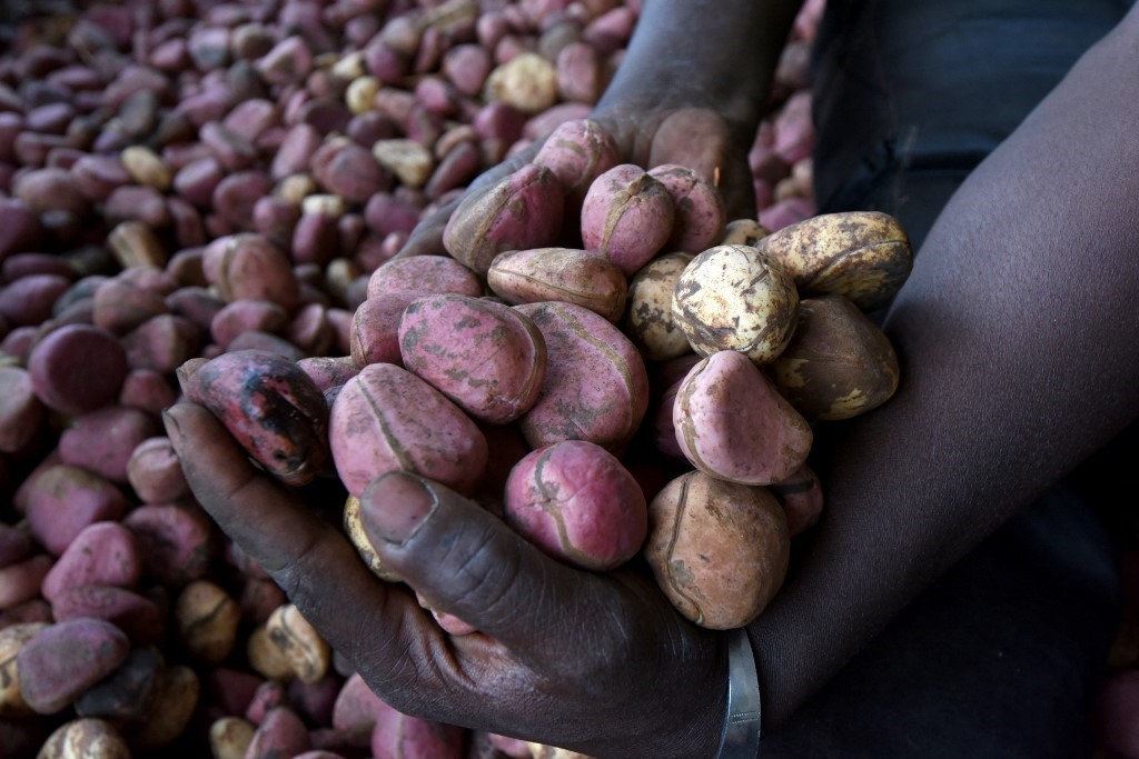 Burkina Faso: la cola coûte cher sur le marché