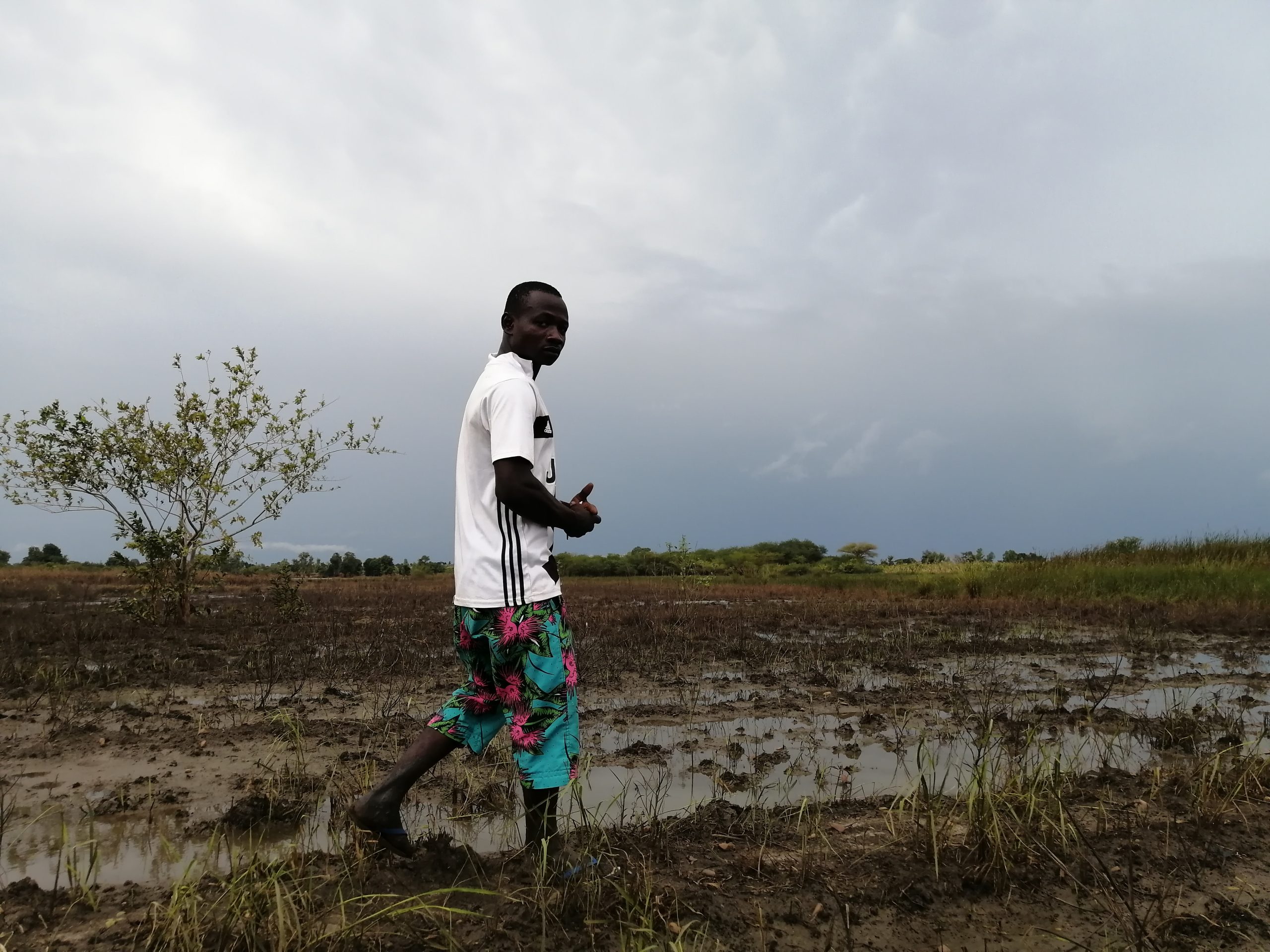 Plaines rizicoles de Bagré : la moisson du désastre après les inondations