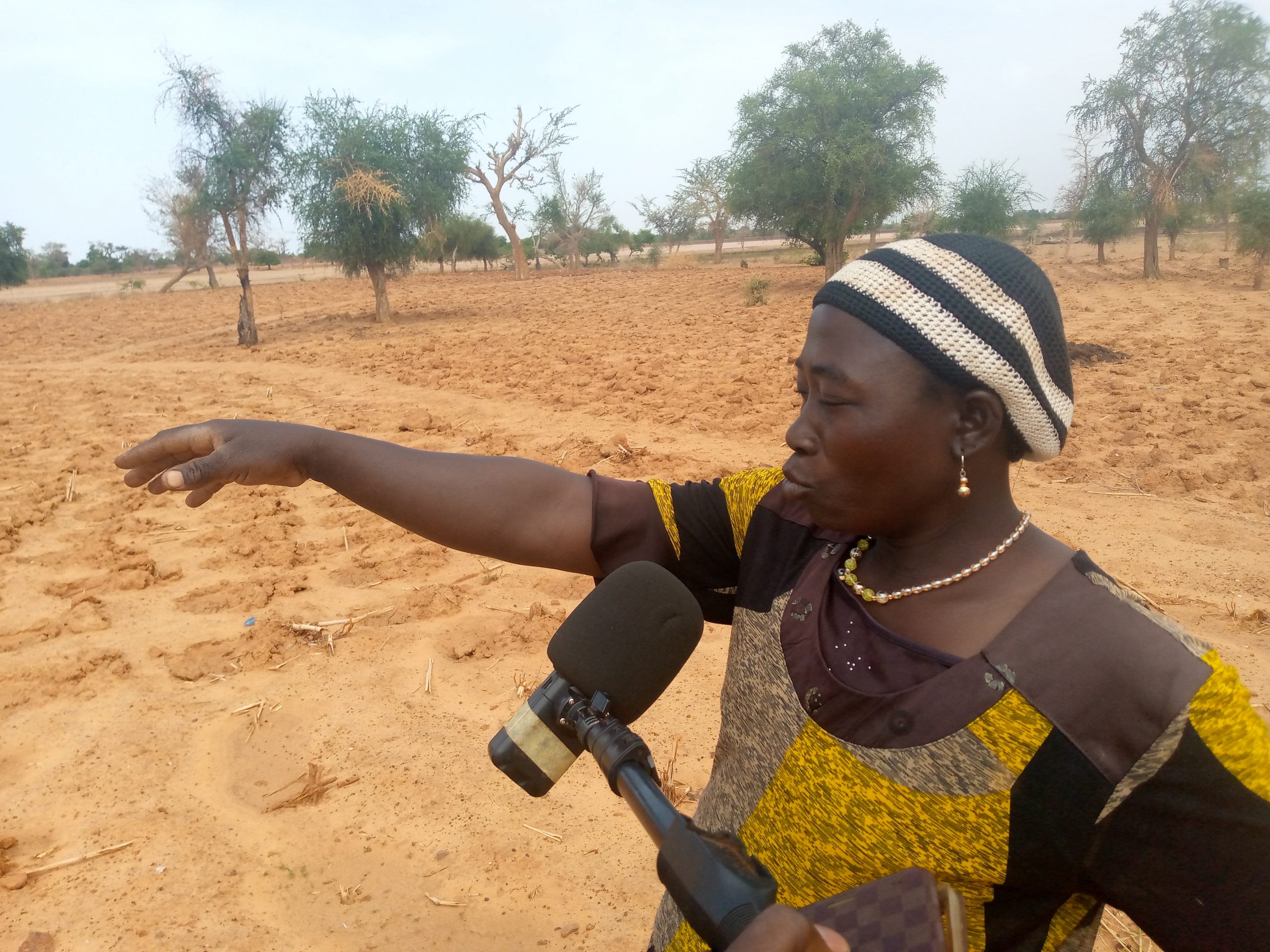 Burkina Faso : comment les braves femmes du nord préparent les champs par le zaï