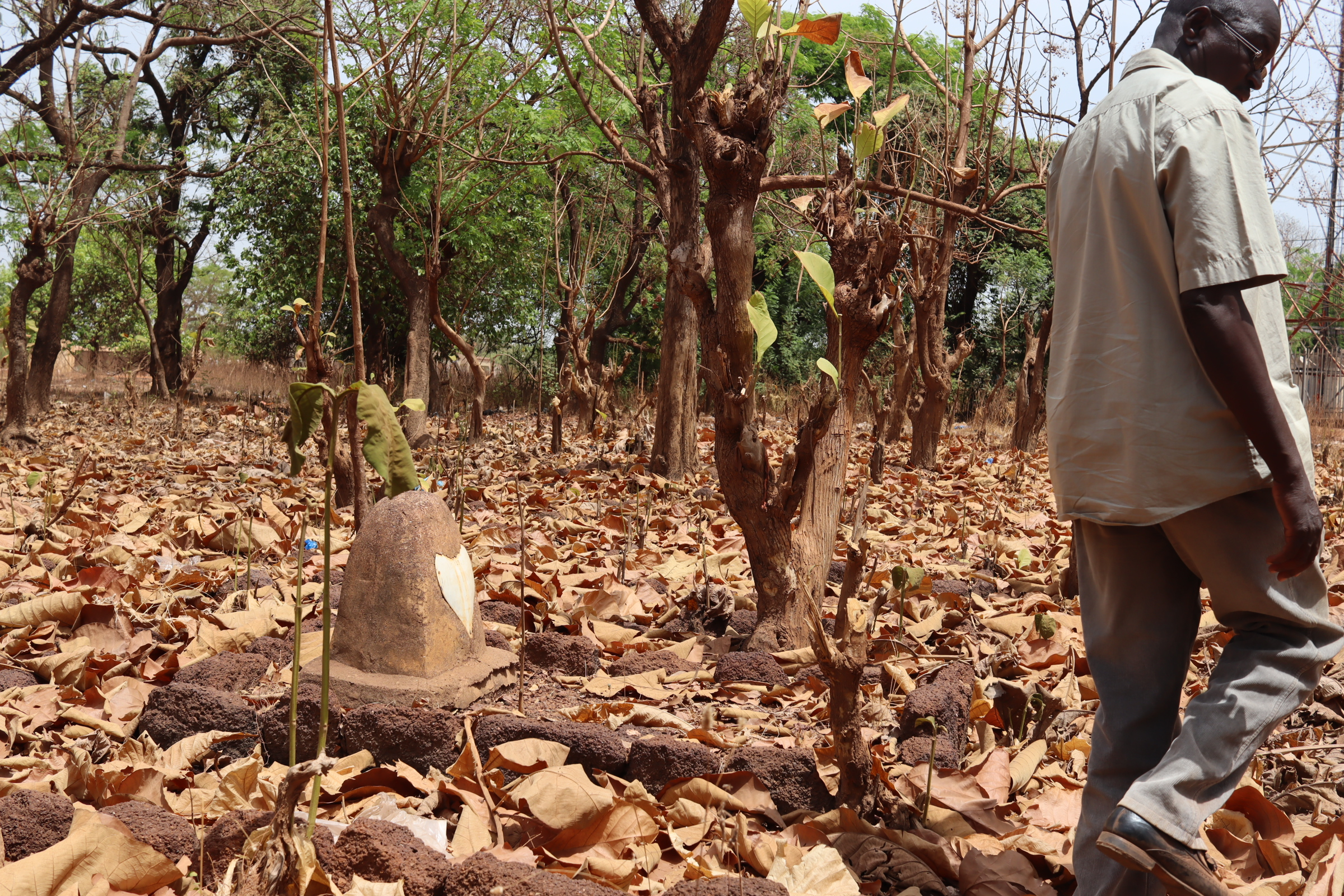 Burkina : Batié, la mort lente du cimetière des « tirailleurs sénégalais »