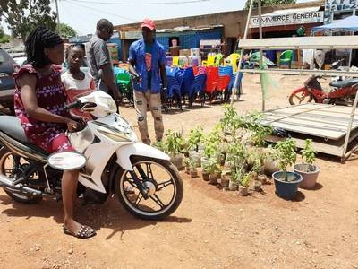 Ouagadougou : la vente mobile de plants, une trouvaille de jeunes pépiniéristes