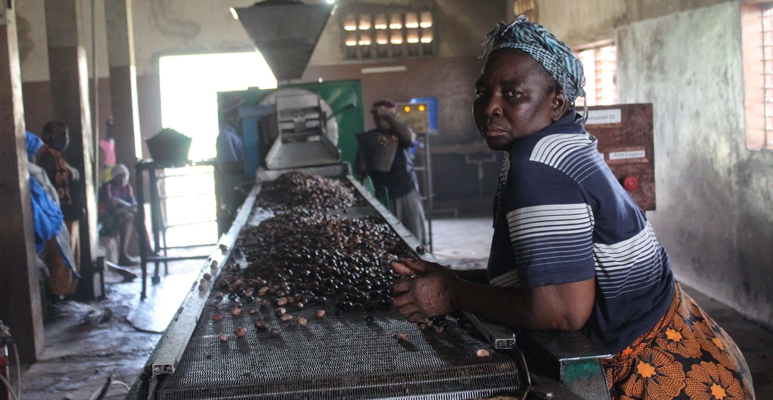 Production de beurre de karité : les femmes machines de la fédération nununa de Léo