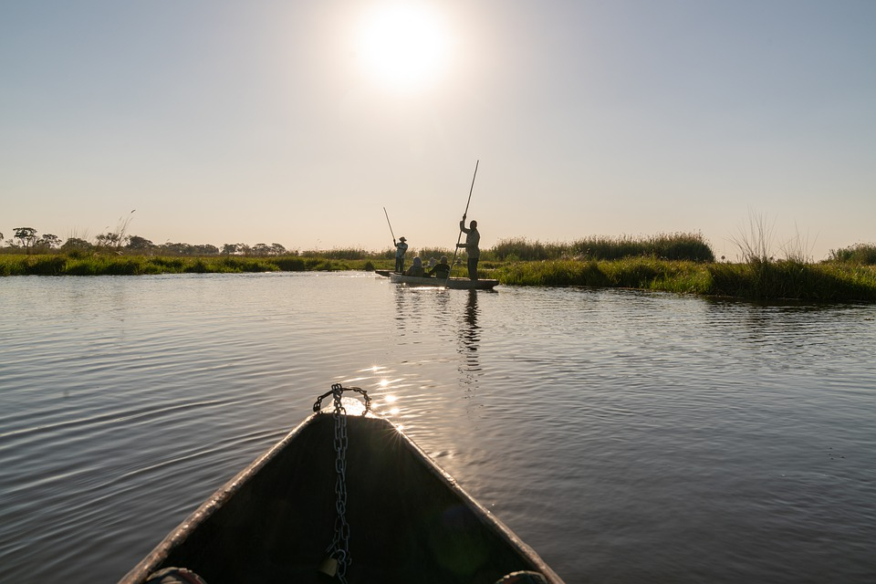 Pisciculture : l’ambition des jeunes pêcheurs de Douroula-Badala