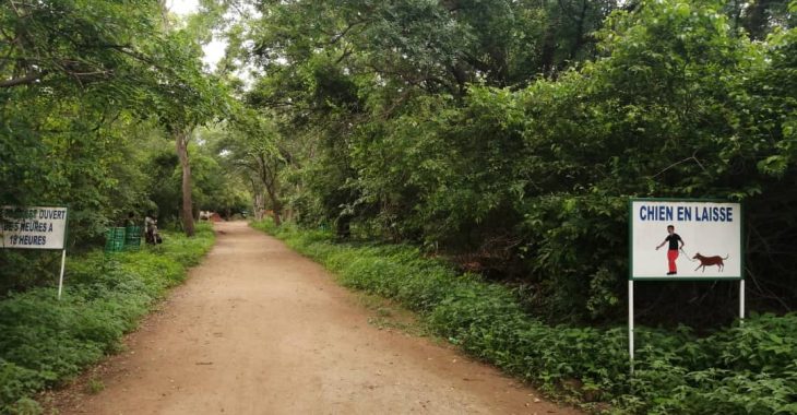 Parc urbain Bangr-weogo : sécurité renforcée après des agressions