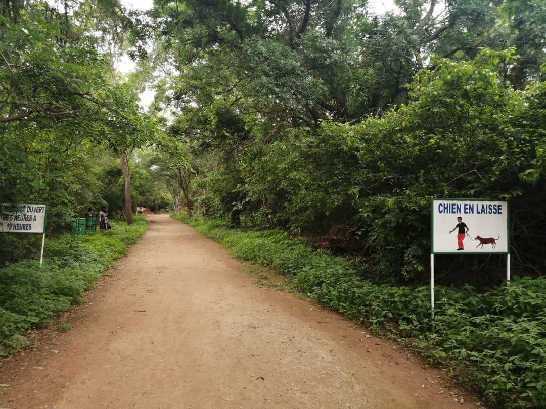 Parc urbain Bangr-weogo : sécurité renforcée après des agressions