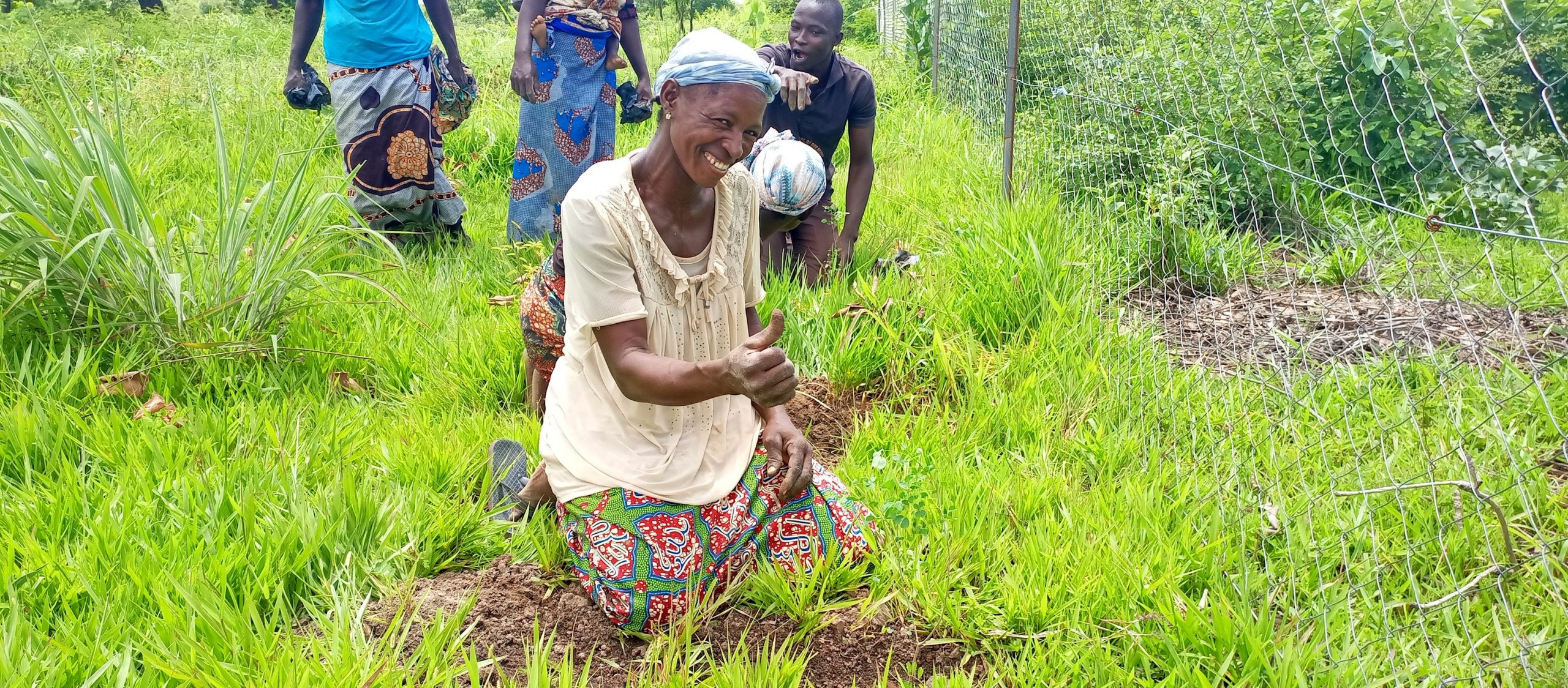  » Les arbres fertilitaires augmentent les rendements de culture »