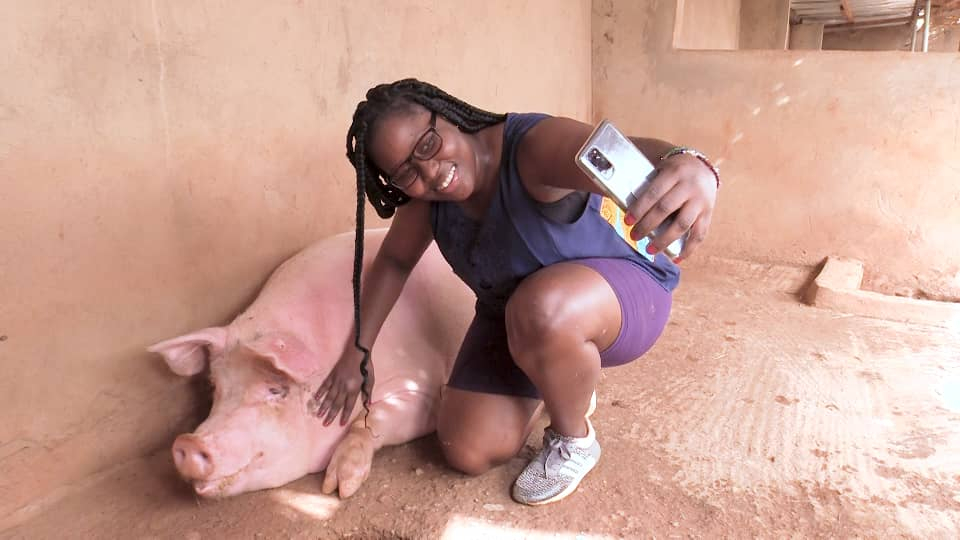 Élevage de porc : des selfies pour mieux vendre