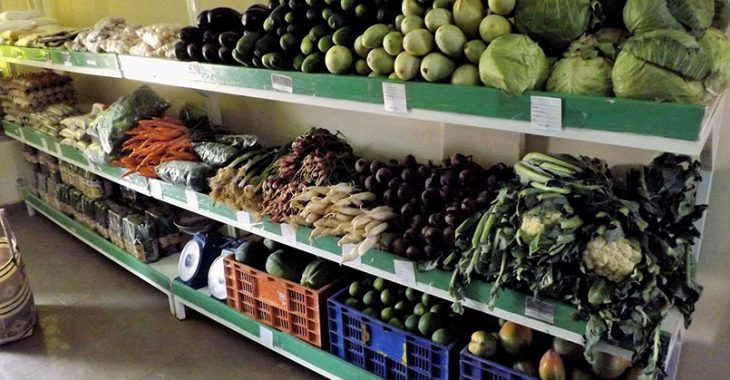 Produits bio : des consommateurs entre doute et assurance