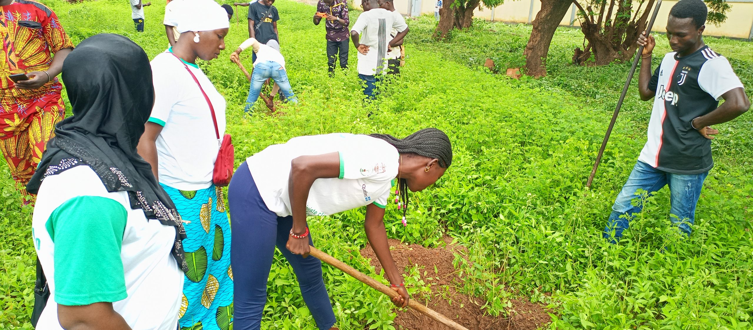 Environnement: des camps de reboisement pour reverdir le Burkina