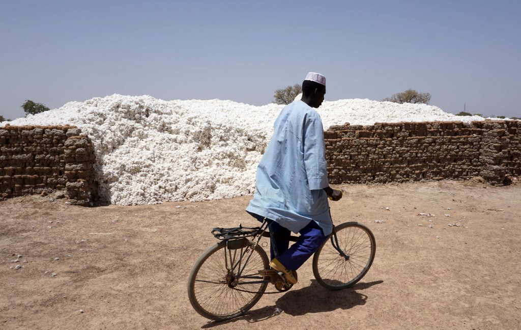 Coton bio : Koudougou, un pionnier qui chôme