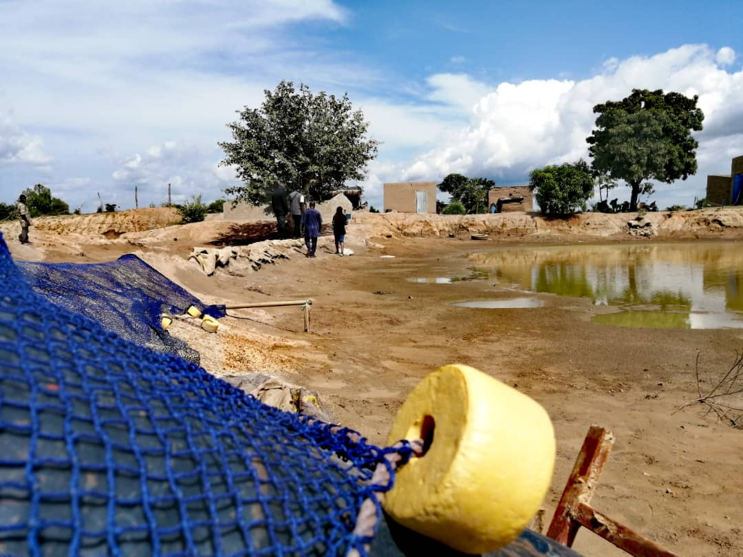 Bagré : des tonnes de poissons emportées par les eaux