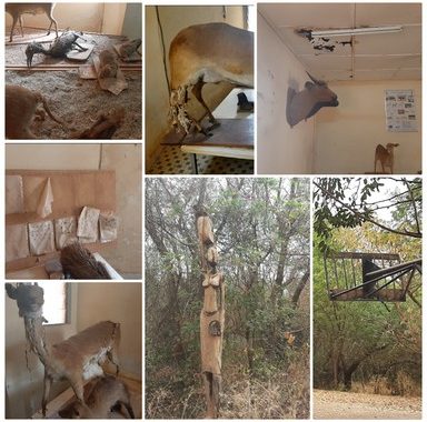 Ouagadougou : le parc urbain "Bangr-Weogo se meurt"