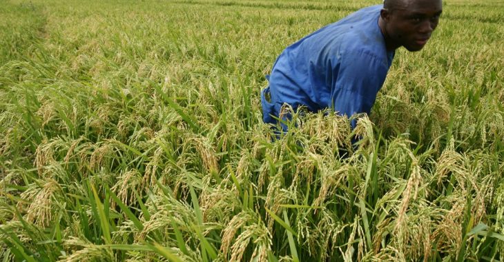 Hivernage 2022 : une saison précoce et des risques d’inondations annoncées