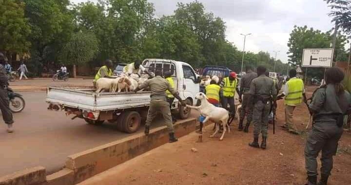 Ouagadougou :  la police aux trousses des vendeurs de bétail