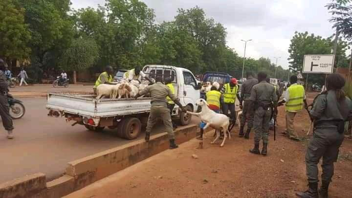Ouagadougou :  la police aux trousses des vendeurs de bétail