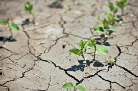 Campagne agricole 2019 : ‘’ Il faut s’attendre à moins de pluie’’