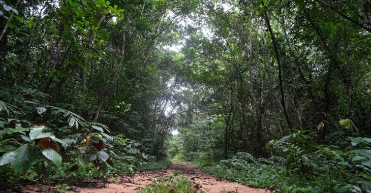 Protection de l'environnement: Olivier et ses 11 hectares d'amour pour les plantes