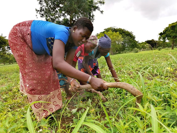 Le pénible quotidien d’une jeune femme agricole enceinte