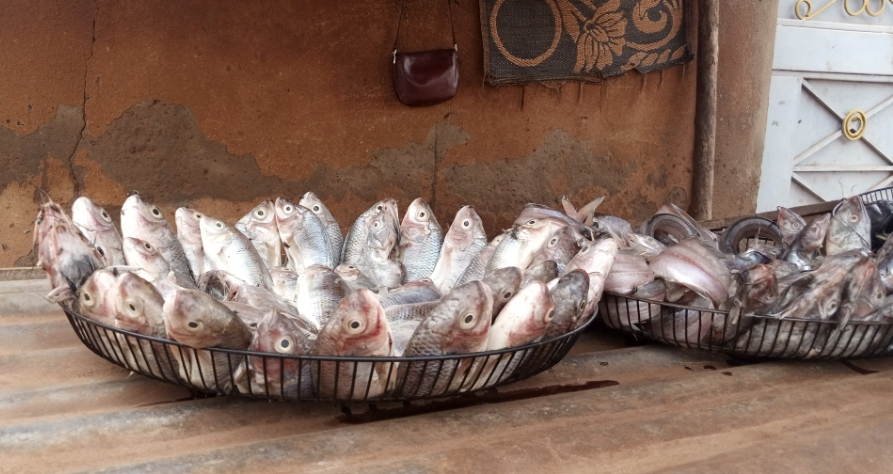 Dédougou : des consommateurs de poissons inquiets